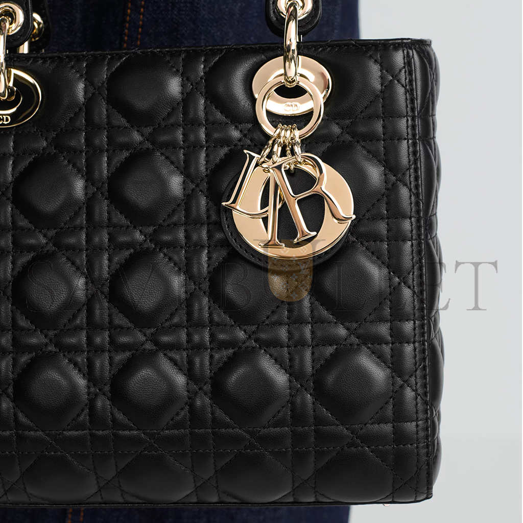 D*or medium lady D*or bag m0565onge_m900 (23*20*12.7cm)